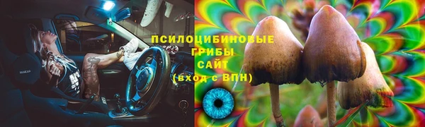 гашик Алзамай